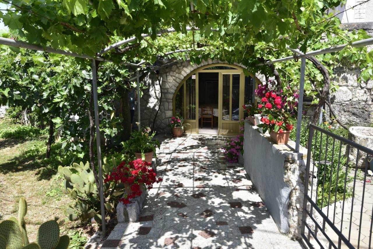 Guest House Tom มาลินสกา ภายนอก รูปภาพ